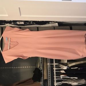 Antonio Melani Dusty Rose Dress